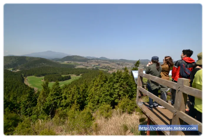 거문오름에서 본 풍경