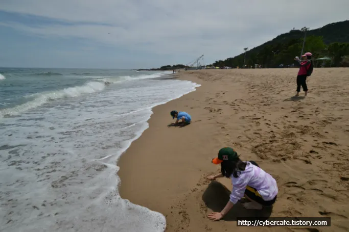 <title>영덕 풍력 발전 단지와 해맞이 공원 그리고 장사해수욕장</title>