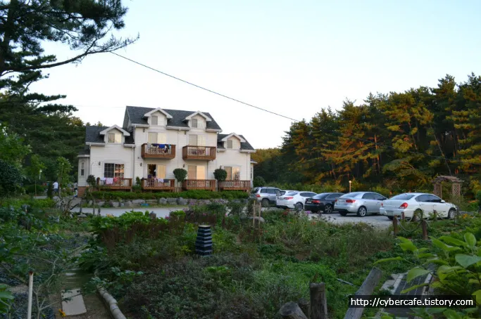 <title>안면도 인근 펜션 - 초록꿈노을비치</title>