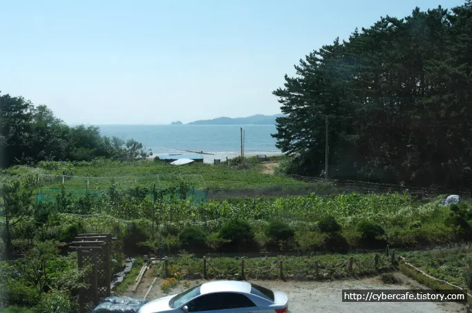 <title>안면도 인근 펜션 - 초록꿈노을비치</title>