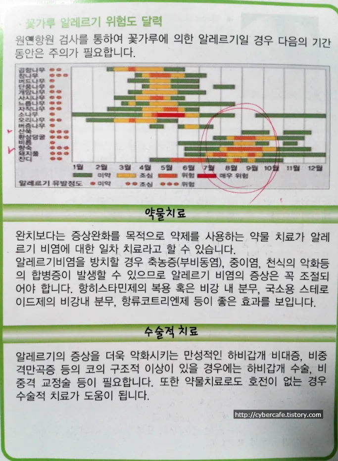 알레르기 비염과 알레르기 반응검사