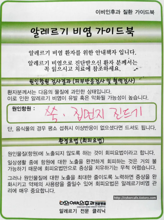 알레르기 비염과 알레르기 반응검사