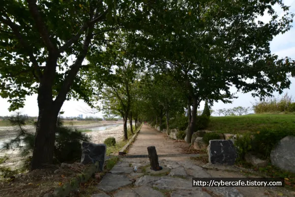 시흥 갯골 생태 공원 둘러 보기