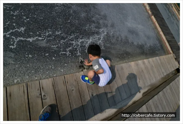 시흥 갯골 생태 공원 둘러 보기
