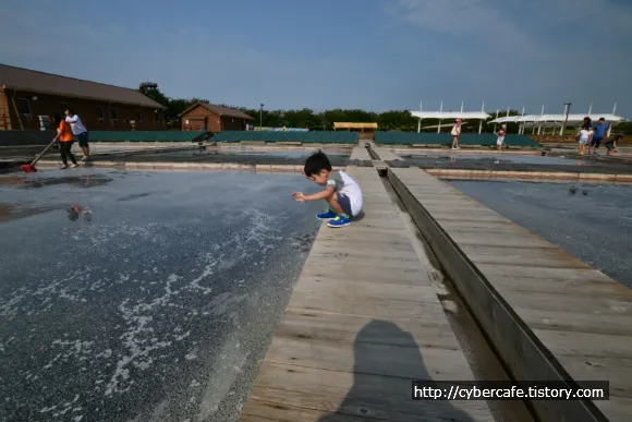 시흥 갯골 생태 공원 둘러 보기