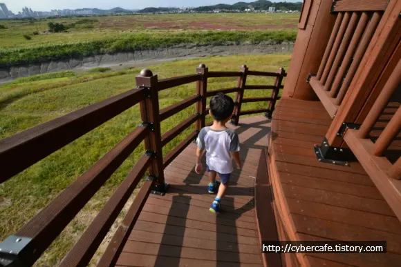 시흥 갯골 생태 공원 둘러 보기