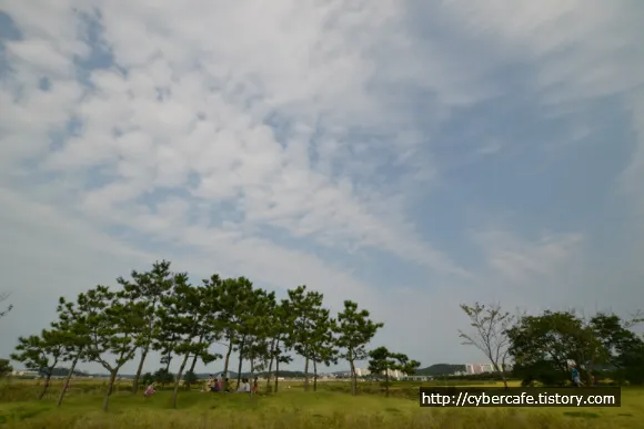 시흥 갯골 생태 공원 둘러 보기