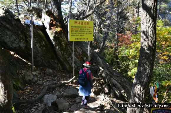 등산의 재미를 느끼게 해주는 강원도 홍천의 팔봉산 종주기