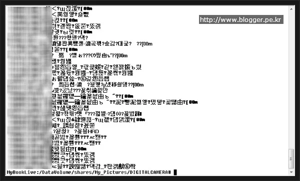 리눅스에서 한글 깨지는 증상