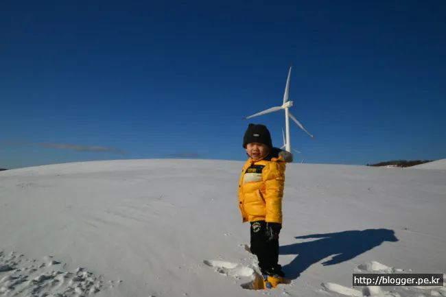 삼양목장 설원을 배경으로 한컷