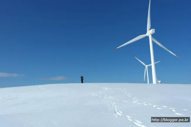 삼양목장의 풍력발전기와 우리딸