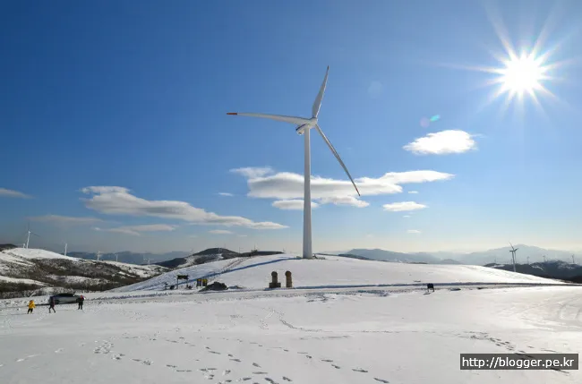대관령 삼양목장의 겨울 풍경
