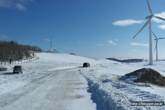 대관령 삼양목장의 겨울 풍경
