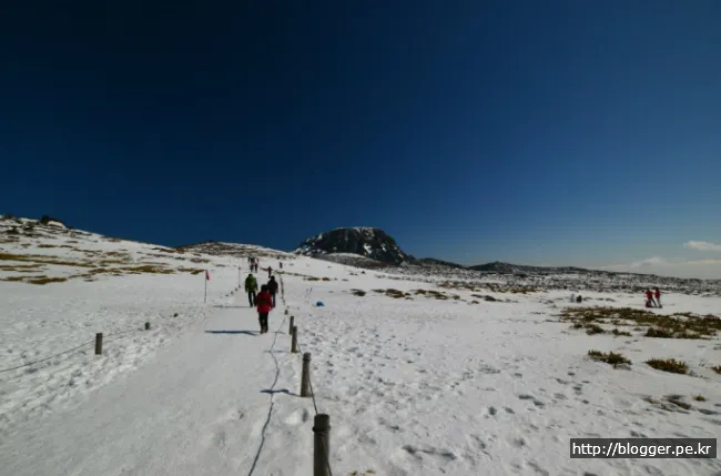 한라산 겨울산행을 하다. (영실코스의 설원 풍경)