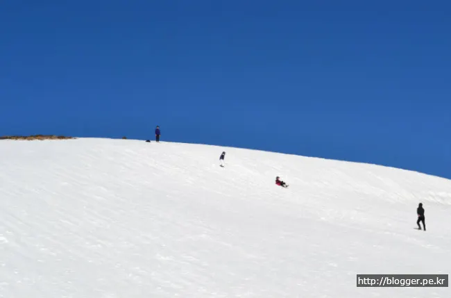 한라산 겨울산행을 하다. (영실코스의 설원 풍경)