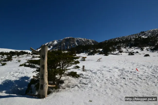 한라산 겨울산행을 하다. (영실코스의 설원 풍경)