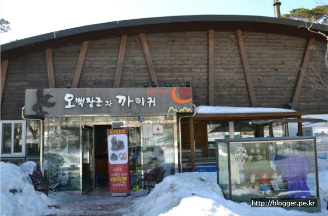 한라산 겨울산행을 하다. (영실코스의 설원 풍경)