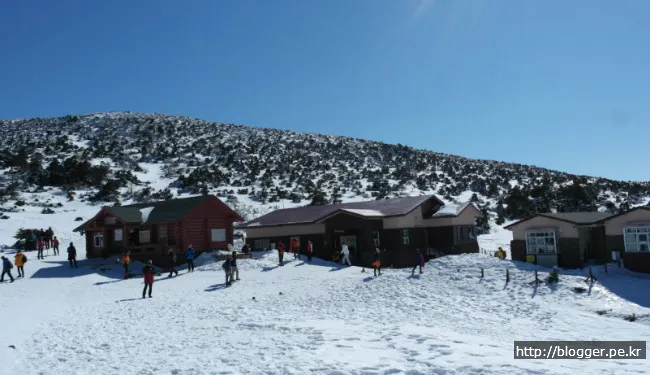 한라산 겨울산행을 하다. (영실코스의 설원 풍경)