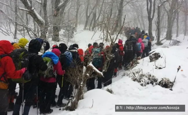 한라산 겨울산행을 하다. (영실코스의 설원 풍경)