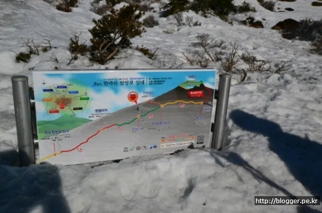 한라산 겨울산행을 하다. (영실코스의 설원 풍경)