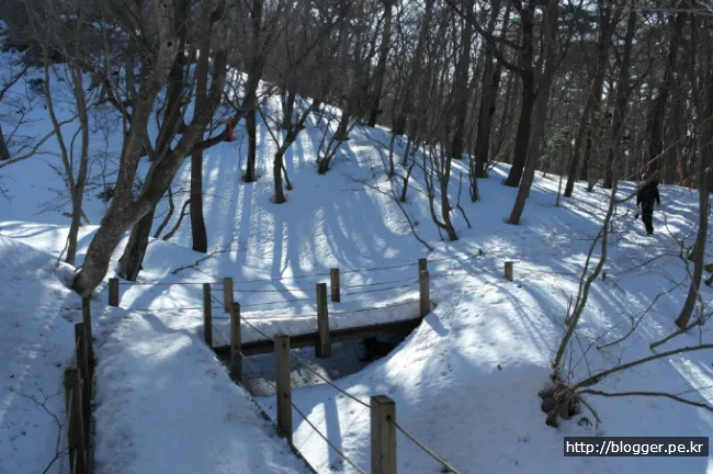 한라산 겨울산행을 하다. (영실코스의 설원 풍경)