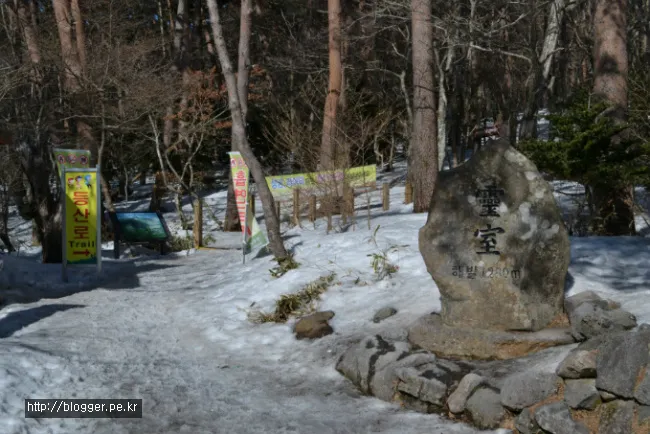 한라산 겨울산행을 하다. (영실코스의 설원 풍경)