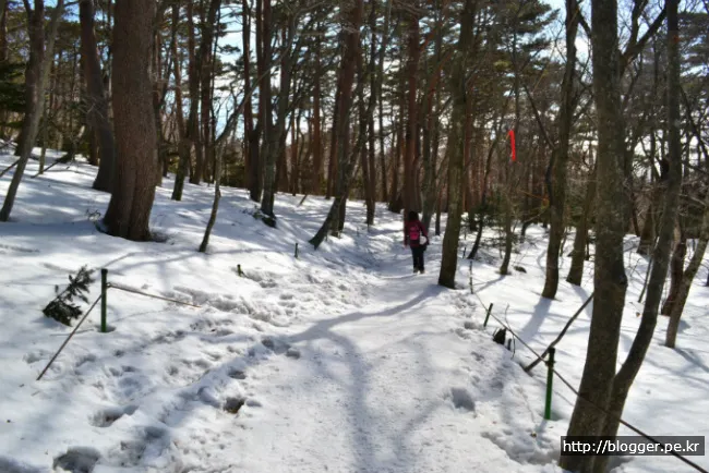 한라산 겨울산행을 하다. (영실코스의 설원 풍경)