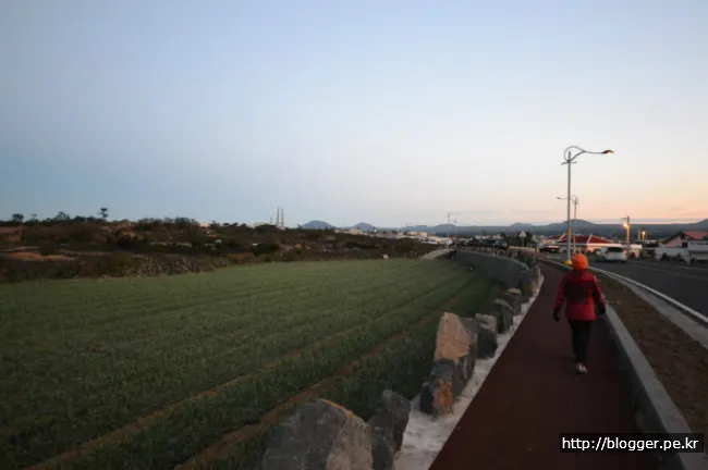 [걷기좋은길]제주 올레길 18코스의 겨울 정취를 만끽하다.