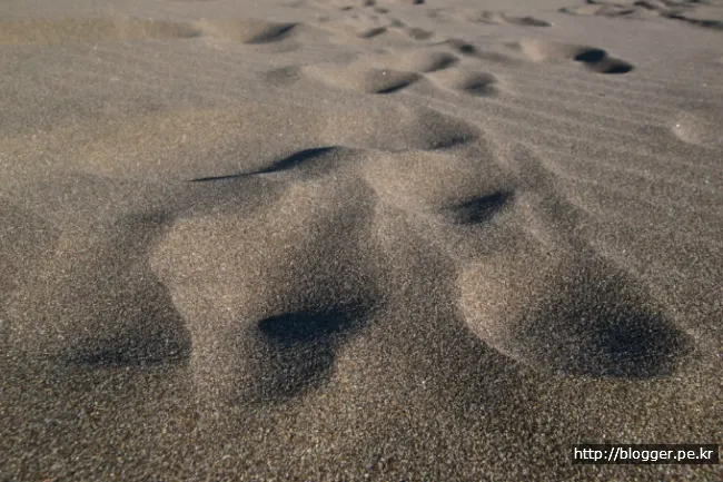 [걷기좋은길]제주 올레길 18코스의 겨울 정취를 만끽하다.