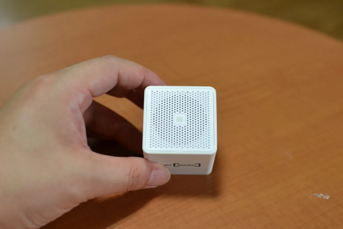 SK Smart Speaker SM-100 (블루투스 스피커)를 사다.