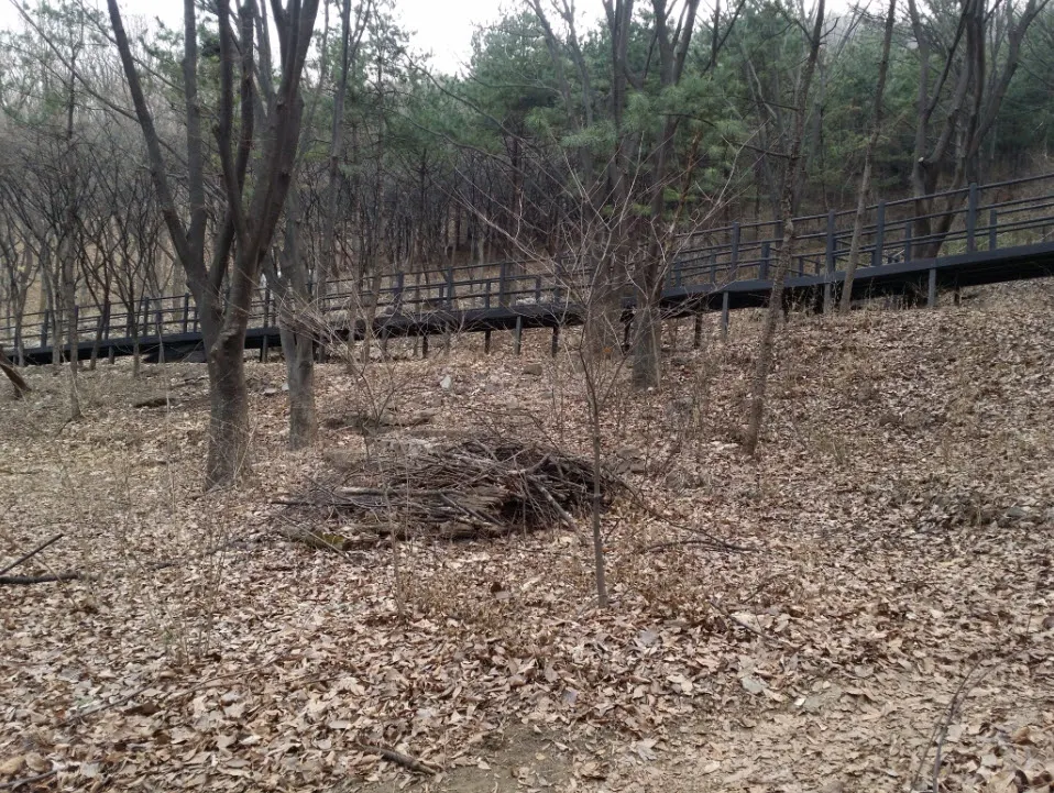[걷기 좋은 길]서대문구청 뒷산 안산 자락길 탐방기