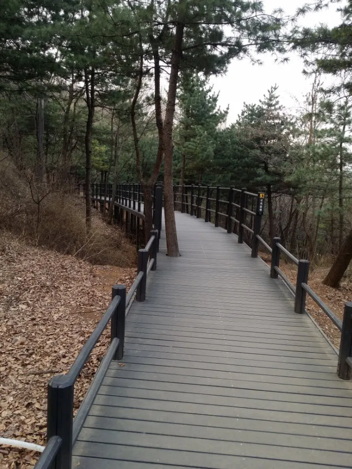 [걷기 좋은 길]서대문구청 뒷산 안산 자락길 탐방기