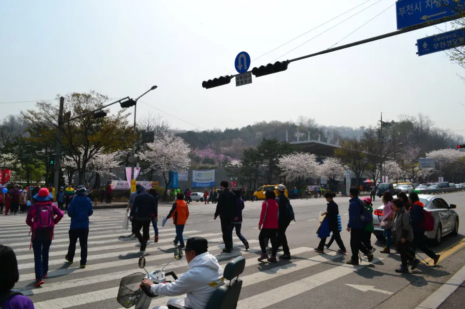 진달래 축제 (경기도 부천시 원미산 - 부천 종합 운동장 인근)