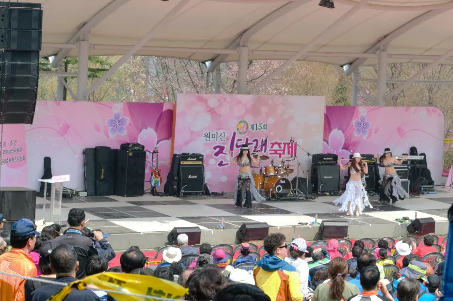 진달래 축제 (경기도 부천시 원미산 - 부천 종합 운동장 인근)