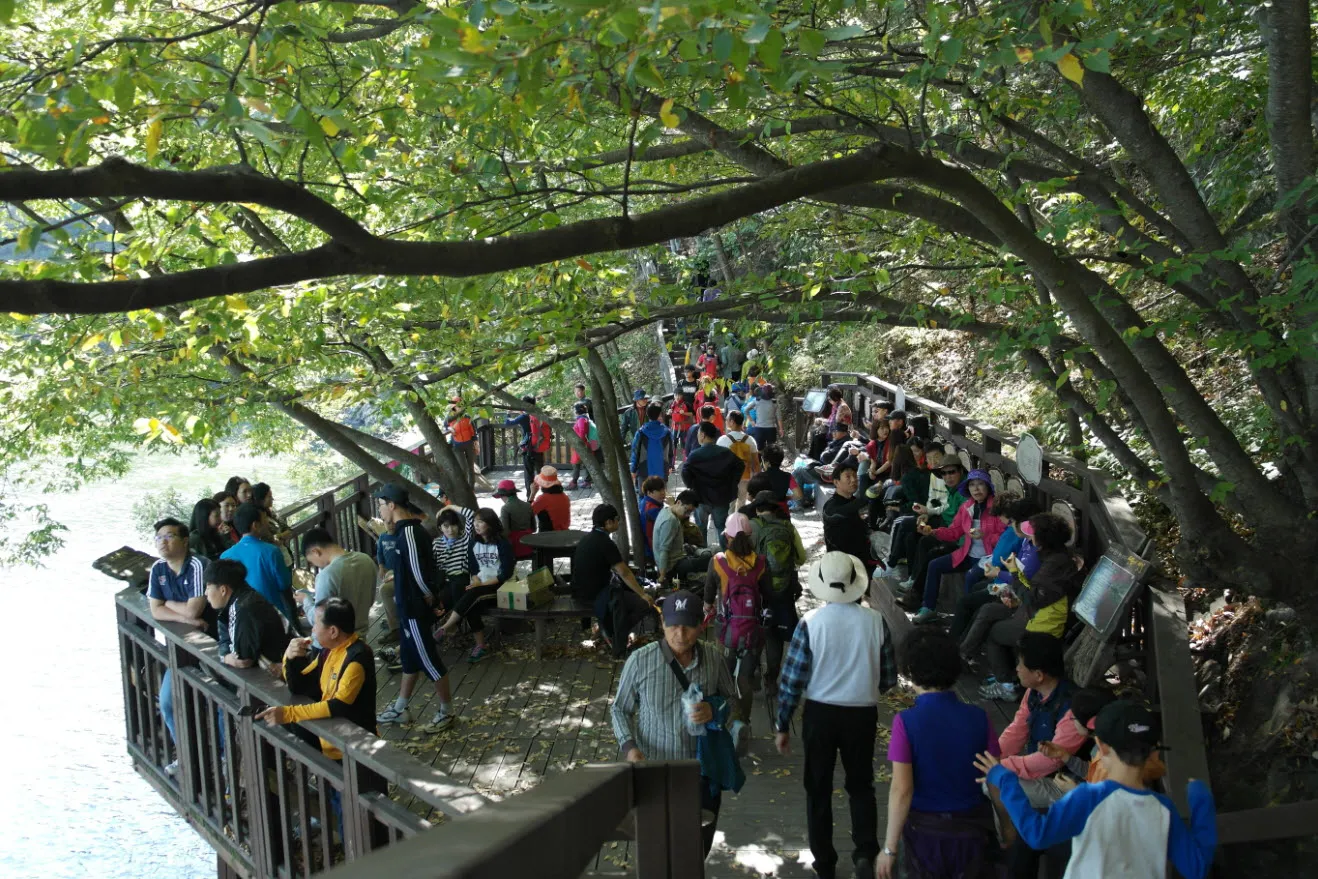 [걷기좋은길] 산막이옛길 (충청북도 괴산군)