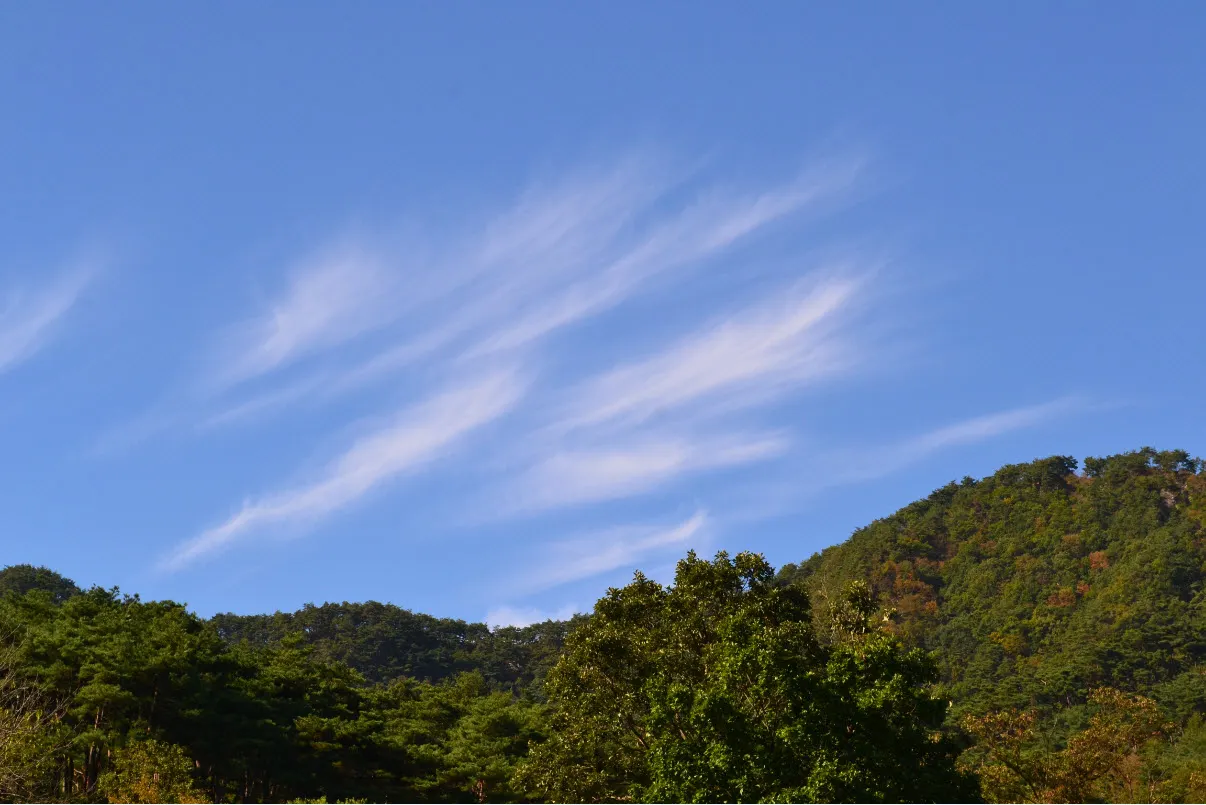 [걷기좋은길] 산막이옛길 (충청북도 괴산군)