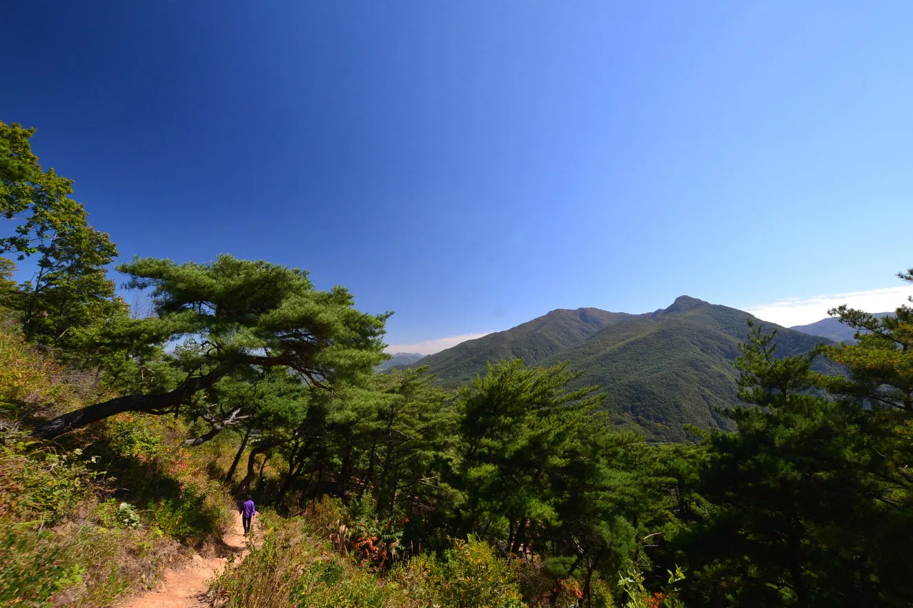 [걷기좋은길] 산막이옛길 (충청북도 괴산군)