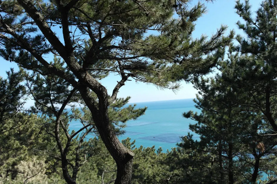 부산여행 (달맞이고개/해동용궁사/해운대시장/태종대 - 1박2일)