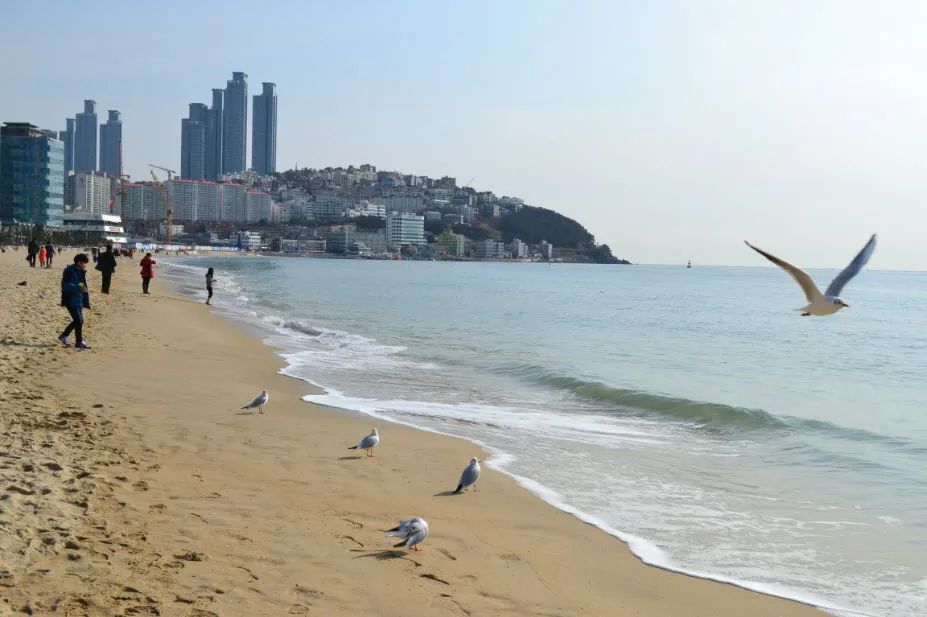 부산여행 (달맞이고개/해동용궁사/해운대시장/태종대 - 1박2일)