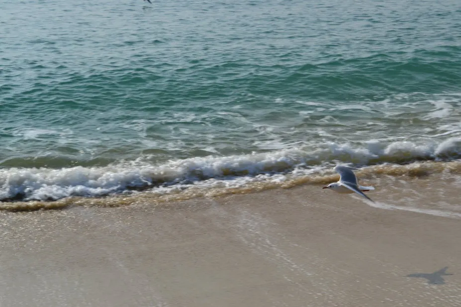 부산여행 (달맞이고개/해동용궁사/해운대시장/태종대 - 1박2일)
