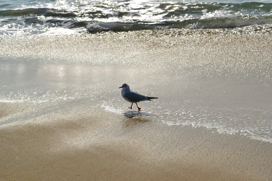 부산여행 (달맞이고개/해동용궁사/해운대시장/태종대 - 1박2일)