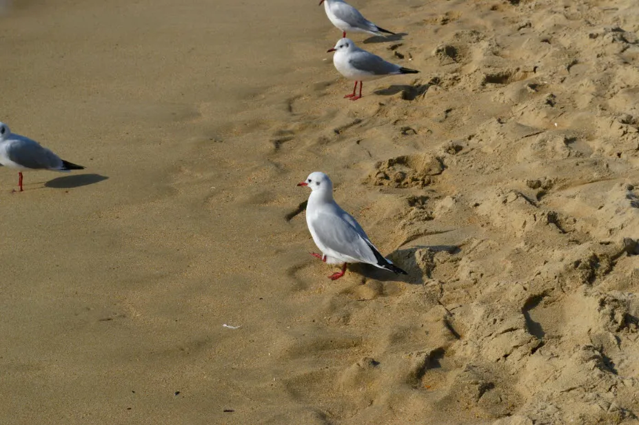 부산여행 (달맞이고개/해동용궁사/해운대시장/태종대 - 1박2일)