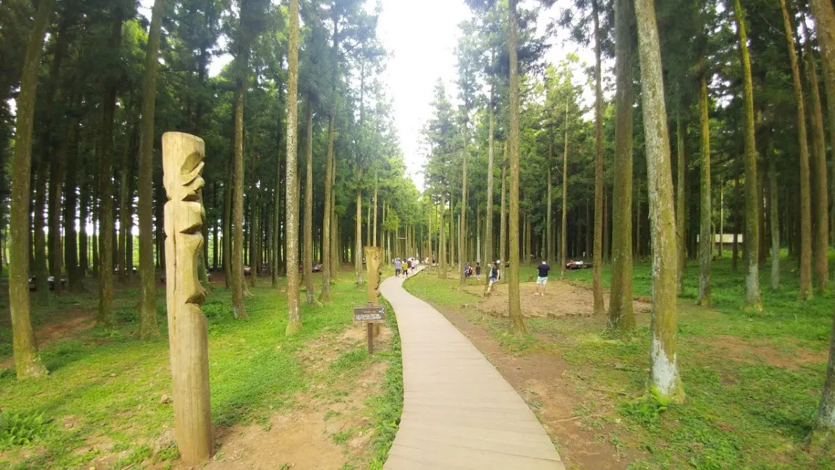 전기차 쏘울과 함께 제주도 당일치기 여행하기