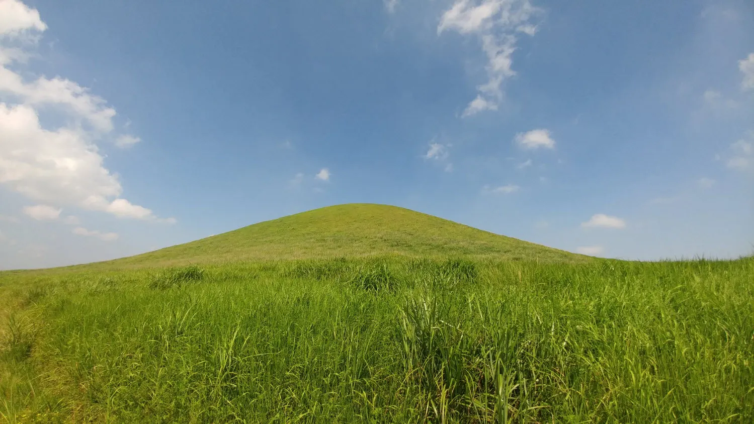 전기차 쏘울과 함께 제주도 당일치기 여행하기