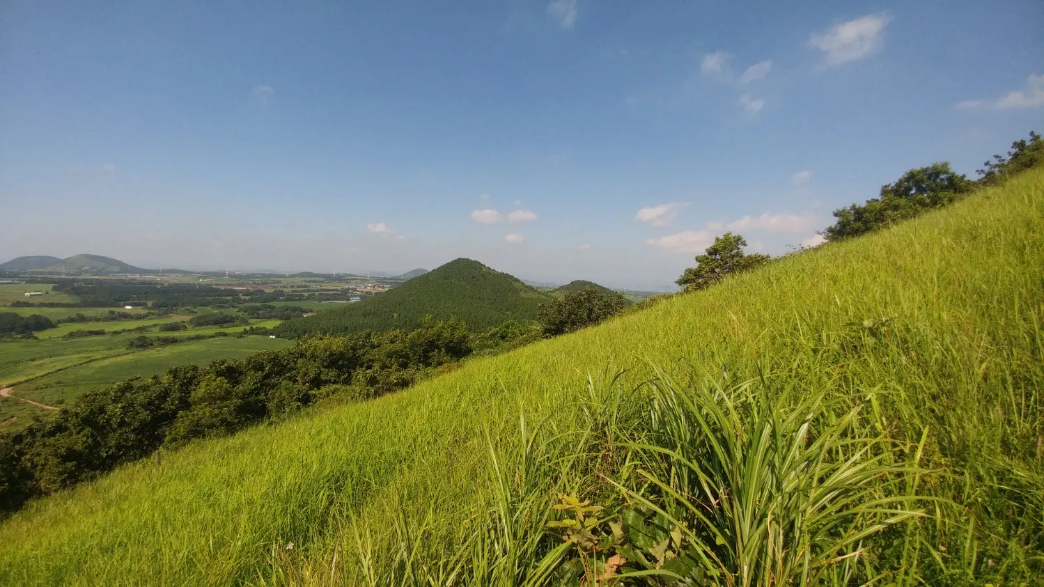 전기차 쏘울과 함께 제주도 당일치기 여행하기