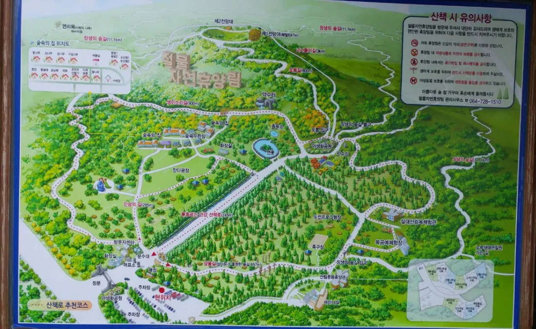 전기차 쏘울과 함께 제주도 당일치기 여행하기