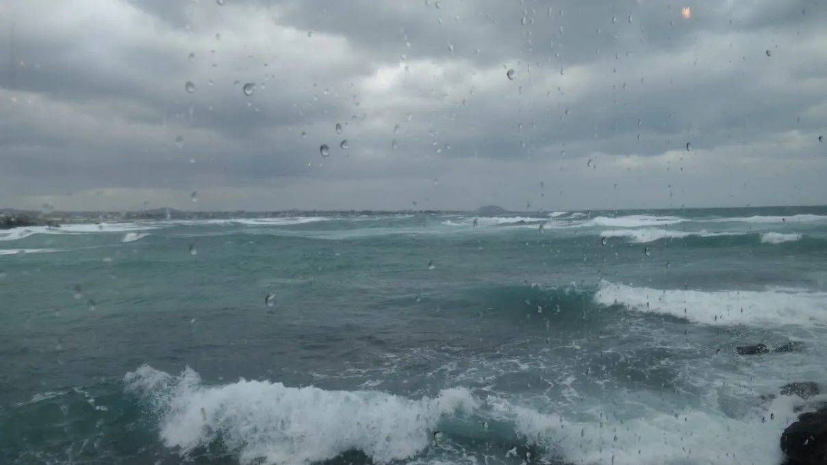 [제주] 거친 파도가 치던 날 다시 찾은 카페 봄날