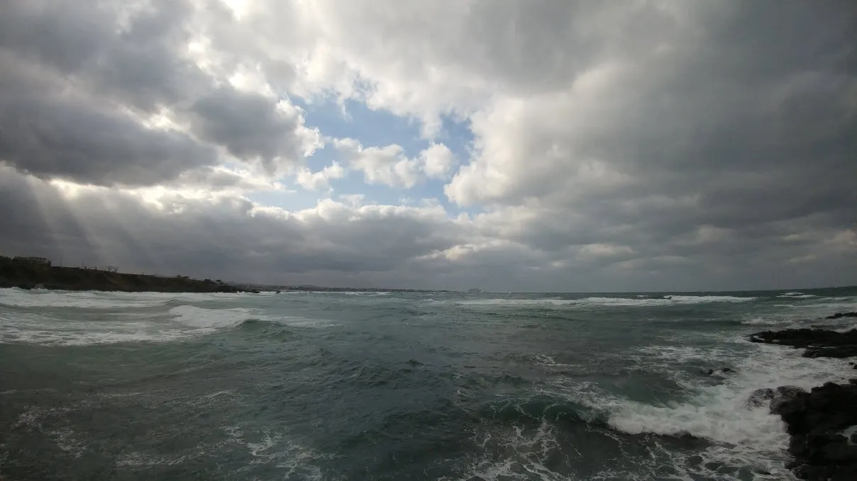 [제주] 거친 파도가 치던 날 다시 찾은 카페 봄날