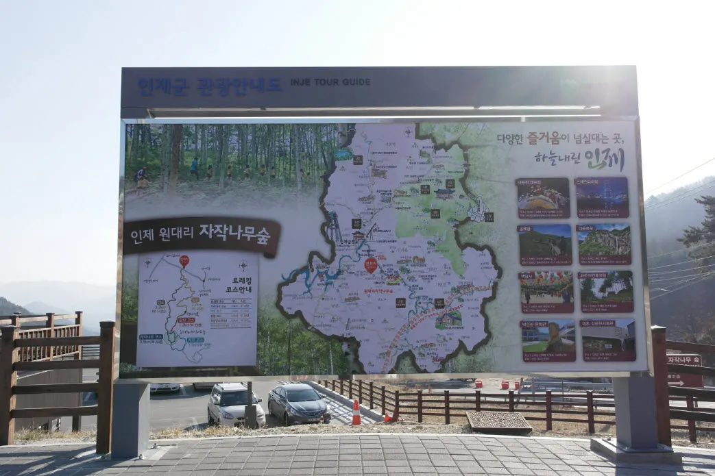 [걷기좋은길]원대리 자작나무 숲의 겨울풍경(강원도 인제군 남면)